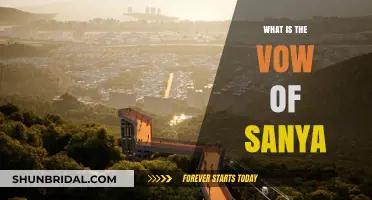 Understanding the Vow of Sanya: A Sacred Commitment in Hinduism