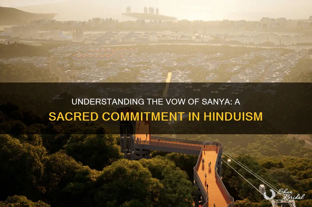 what is the vow of sanya