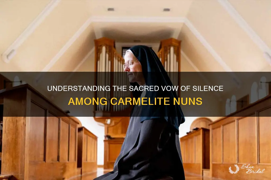 what is the vow of silence carmelite nuns
