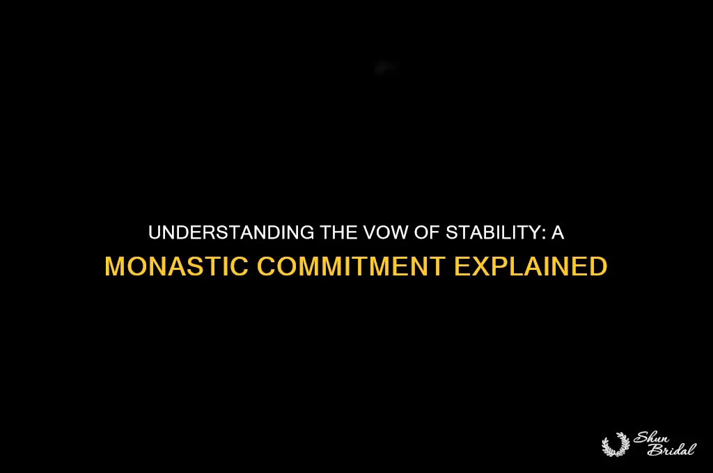 what is the vow of stability