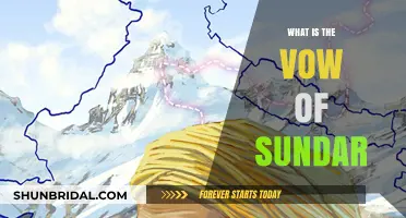 Understanding the Vow of Sundar: A Deep Dive into Its Meaning