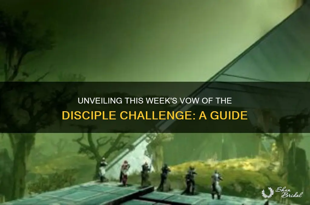 what is the vow of the disciple challenge this week