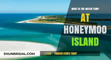 Honeymoon Island Water Temperature Guide: Ideal for Swimming and Snorkeling
