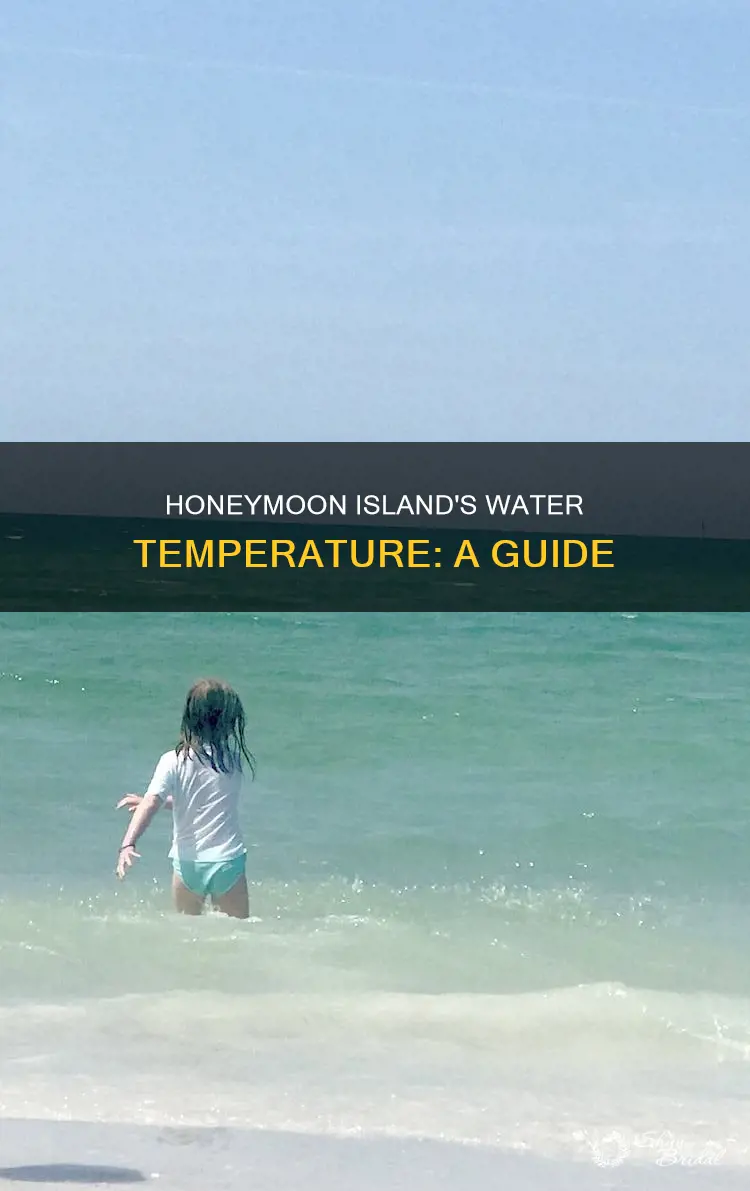 what is the water temperature at honeymoon island