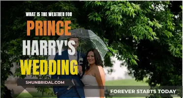 Harry and Meghan's Wedding Weather