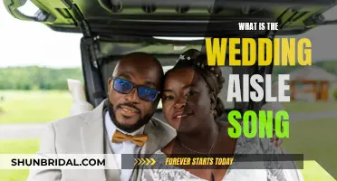 Wedding Aisle Song: Choosing the Perfect Musical Moment