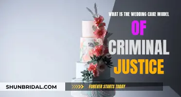 Understanding Criminal Justice: The Wedding Cake Model Explained