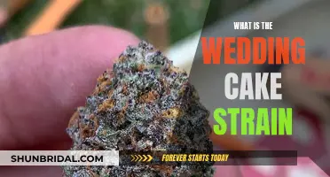 The Wedding Cake Strain: Sweet, Delicious, and Potent