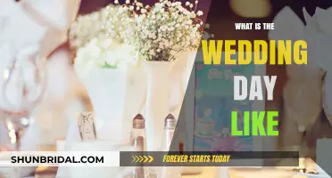 Your Wedding Day: A Magical Journey from Dawn to Dusk