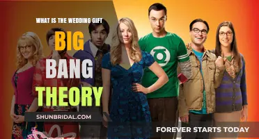 The Big Bang Theory's Unique Wedding Gift Tradition Explained