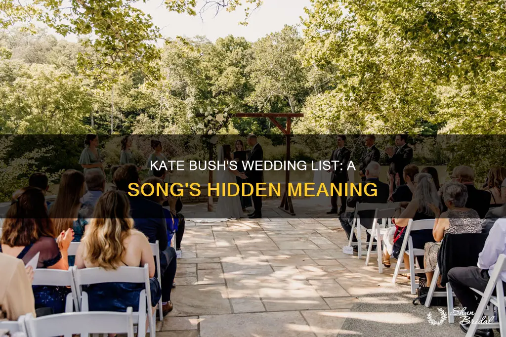 what is the wedding list song about meaning bush kate