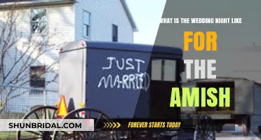Amish Wedding Night Traditions: A Glimpse into Their Sacred Union