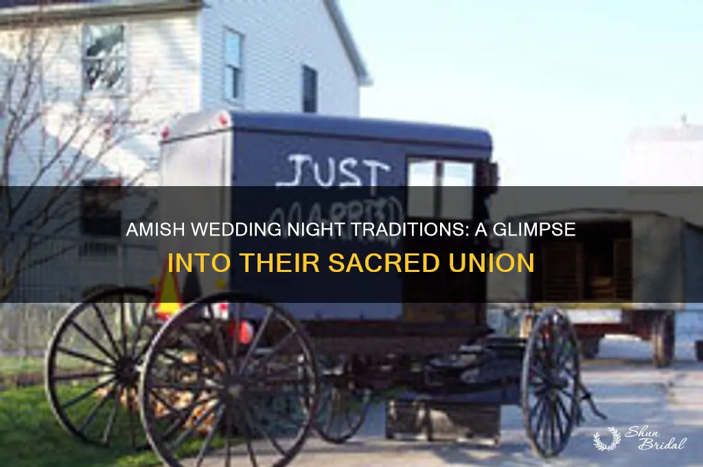what is the wedding night like for the amish