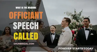 Understanding the Wedding Officiant's Speech: Name, Purpose, and Tips