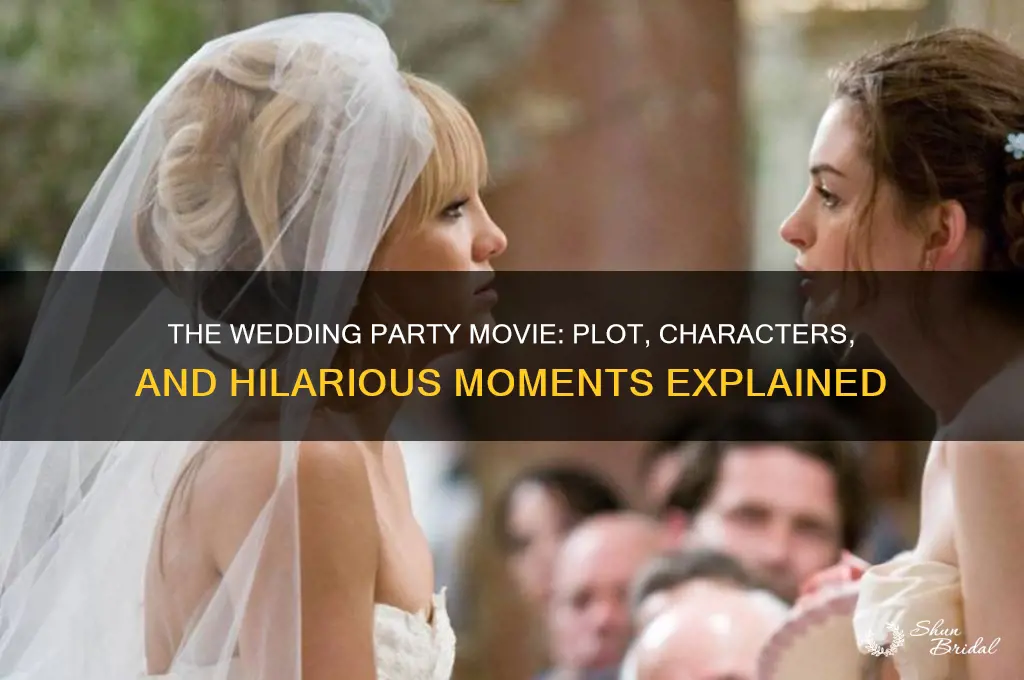 what is the wedding party movie about