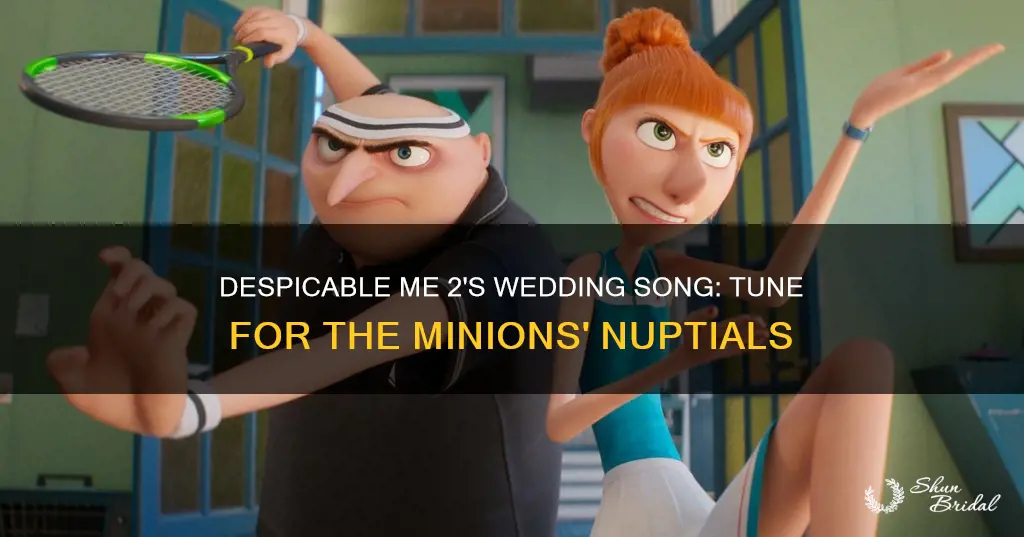 what is the wedding song in despicable me 2