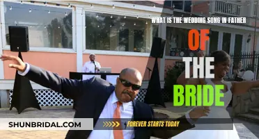 Father of the Bride: Unveiling the Wedding Song