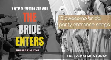 The Bride's Entrance: Choosing the Perfect Wedding Song