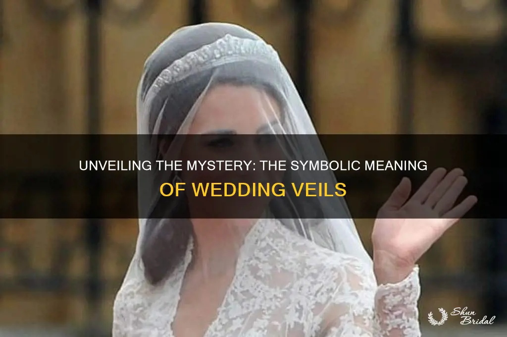 what is the wedding veil about