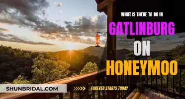 Honeymoon Fun in Gatlinburg: Adventure Awaits!