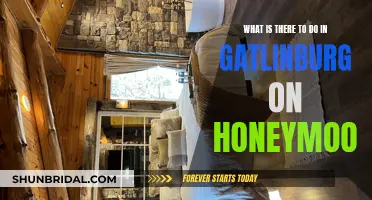 Honeymoon in Gatlinburg: Activities for Romantic Getaways