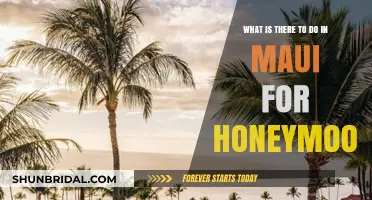 Romantic Maui Honeymoon: Top Activities for Unforgettable Newlywed Bliss