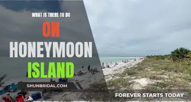 Honeymoon Island: Paradise for Adventure and Relaxation