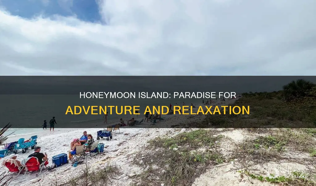 what is there to do on honeymoon island