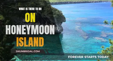 Honeymoon Island: Adventure, Relaxation, and More