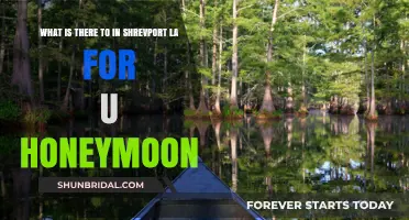 Romantic Shreveport: Unique Honeymoon Experiences in Louisiana's Hidden Gem