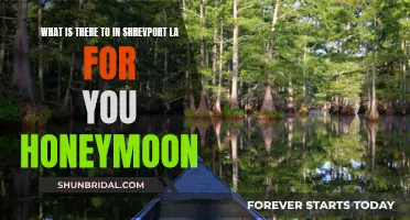 Honeymoon in Shreveport: Louisiana's Hidden Gem for Romance