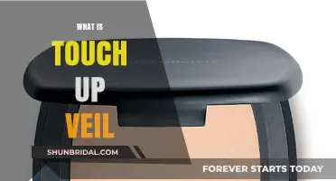 Understanding the Touch-Up Veil: A Quick Bridal Makeup Fix