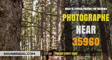 Wedding Photography Pricing in 35960: How Much Does It Cost?