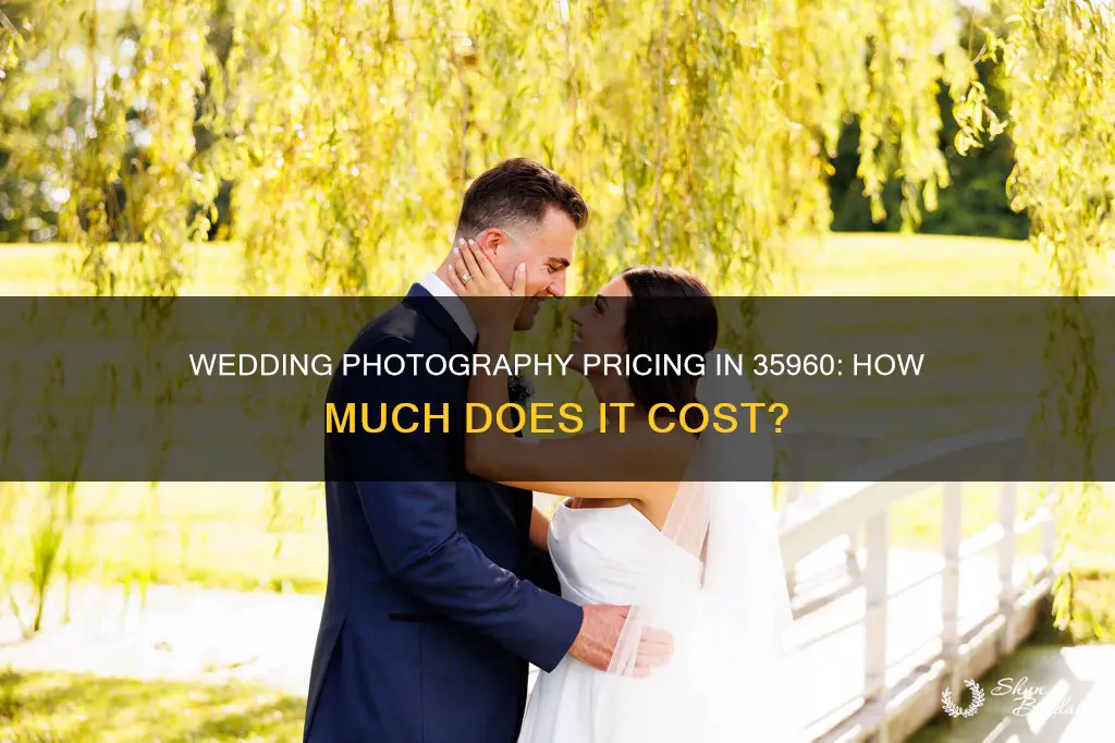 what is typical pricing for wedding photographers near 35960