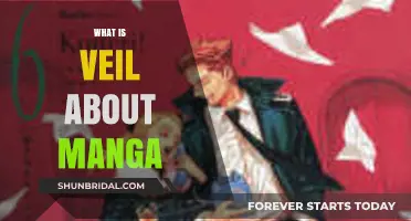 Unveiling the Mystery: Exploring the Veil in Manga Culture
