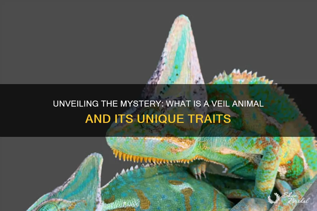 what is veil animal
