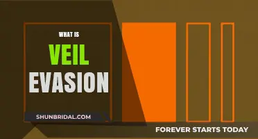 Understanding Veil Evasion: Techniques, Detection, and Cybersecurity Implications
