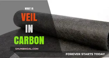 Understanding the Veil in Carbon: A Comprehensive Scientific Explanation