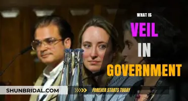 Understanding the Veil: Secrecy, Transparency, and Government Accountability Explained