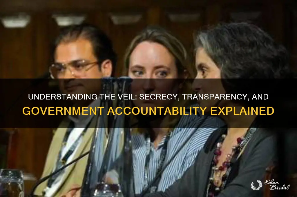 what is veil in government