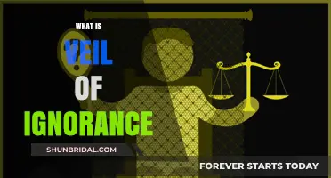 Understanding the Veil of Ignorance: A Fairness Principle Explained