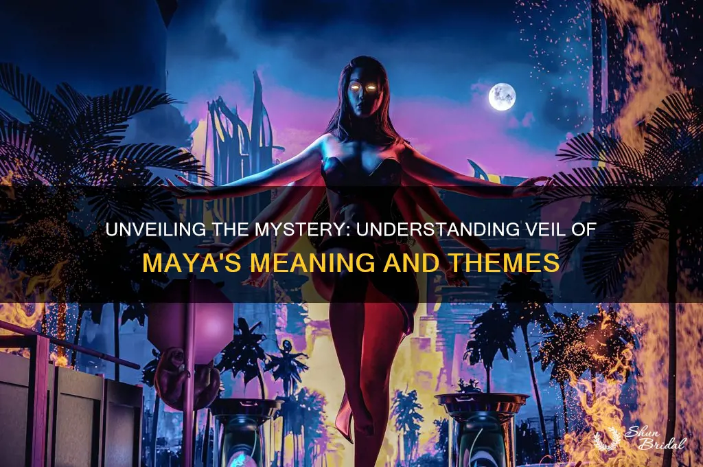 what is veil of maya about