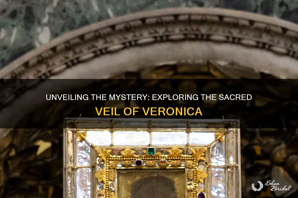 what is veil of veronica