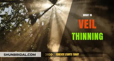 Understanding Veil Thinning: Causes, Symptoms, and Spiritual Significance Explained