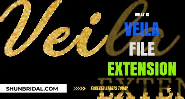 Understanding the Veila File Extension: Uses, Benefits, and Compatibility