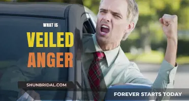 Unmasking Veiled Anger: Understanding Hidden Resentment and Its Impact