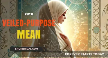 Understanding Veiled-Purpose: Decoding Hidden Intentions and Their Impact