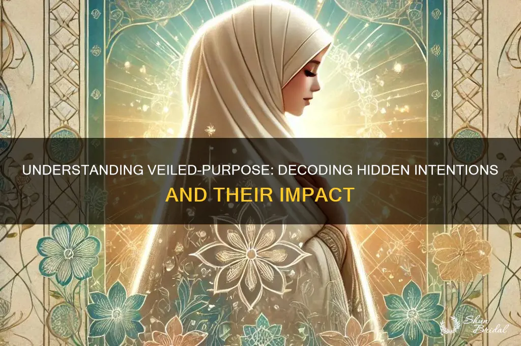 what is veiled-purpose mean