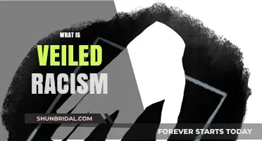 Unmasking Veiled Racism: Subtle Biases and Their Hidden Impact
