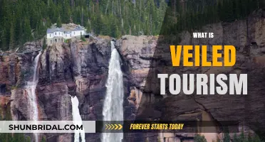 Uncovering the Mystery: Understanding Veiled Tourism and Its Appeal